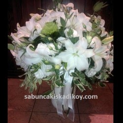 sbc 163 casablanca lilyum ve şebboylar