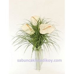 sbc 007 VAZODA BEYAZ ANTORYUMLAR