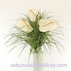 sbc 007 VAZODA BEYAZ ANTORYUMLAR