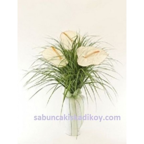 sbc 007 VAZODA BEYAZ ANTORYUMLAR