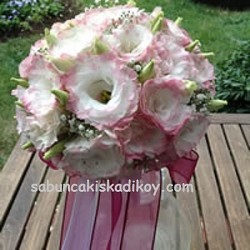 sbc 8010 Pembe-beyaz (çiftrenkli)lisyentus gelin çiçeği
