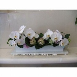 sbc 483 Beyaz planopsis sıralı aranjman