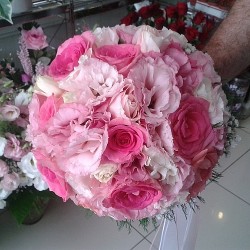 sbc 685 pembe lisiyentus ve pembe güller