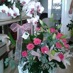 sbc 3003 pembe lilyum ve fuşya gül orkide aranjman