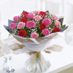 SG 02 Vazoda 20 Adet kırmızı-pembe Güller