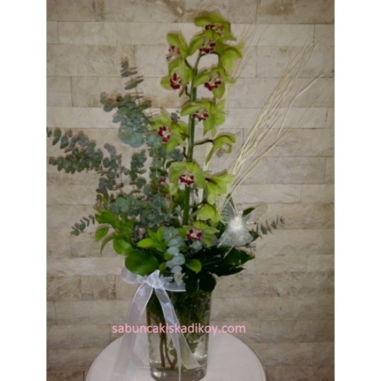 sbc 306 cam vazoda spidyum dal orkide aranjmanı