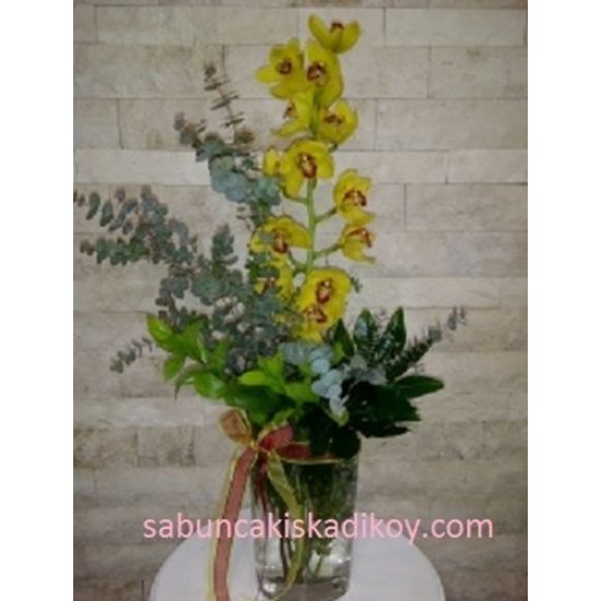 sbc 306 cam vazoda spidyum dal orkide aranjmanı