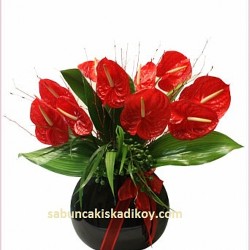 sbc 002 VAZODA KIRMIZI ANTORYUM DEMET TASARIM